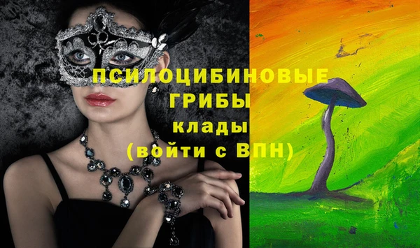 мдпв Арсеньев